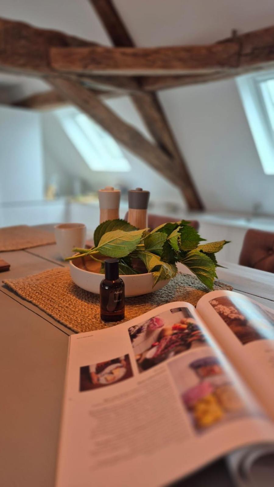 Apartament L'Arbre Voyageur Autun Zewnętrze zdjęcie