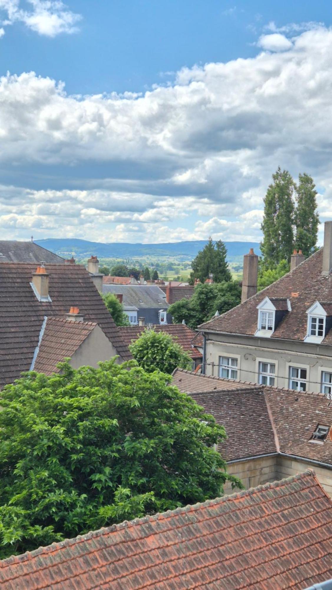 Apartament L'Arbre Voyageur Autun Zewnętrze zdjęcie